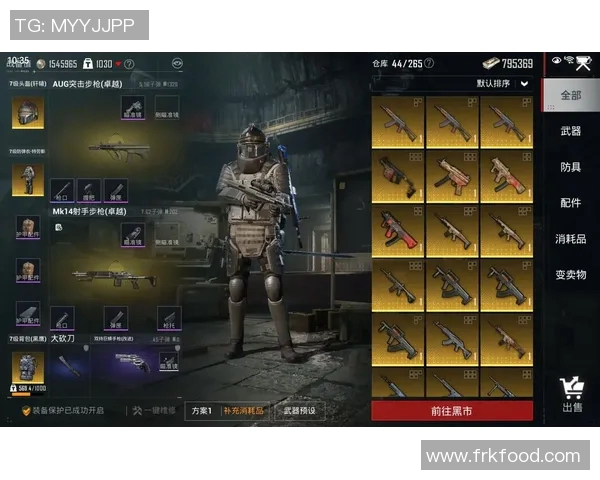 和平精英焦点BLG的战术意识与S15赛季LOL的深度分析与探讨